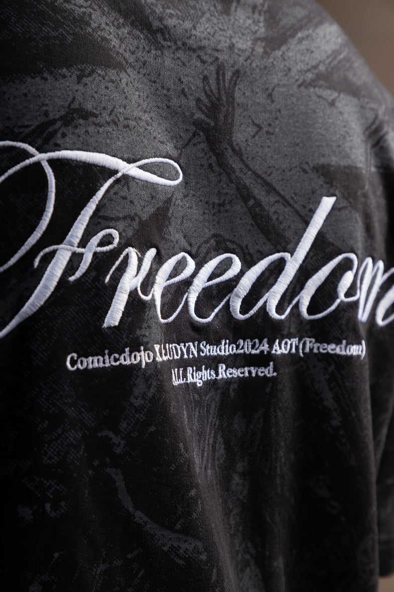 Freedom - Inspired by Attack on Titans
