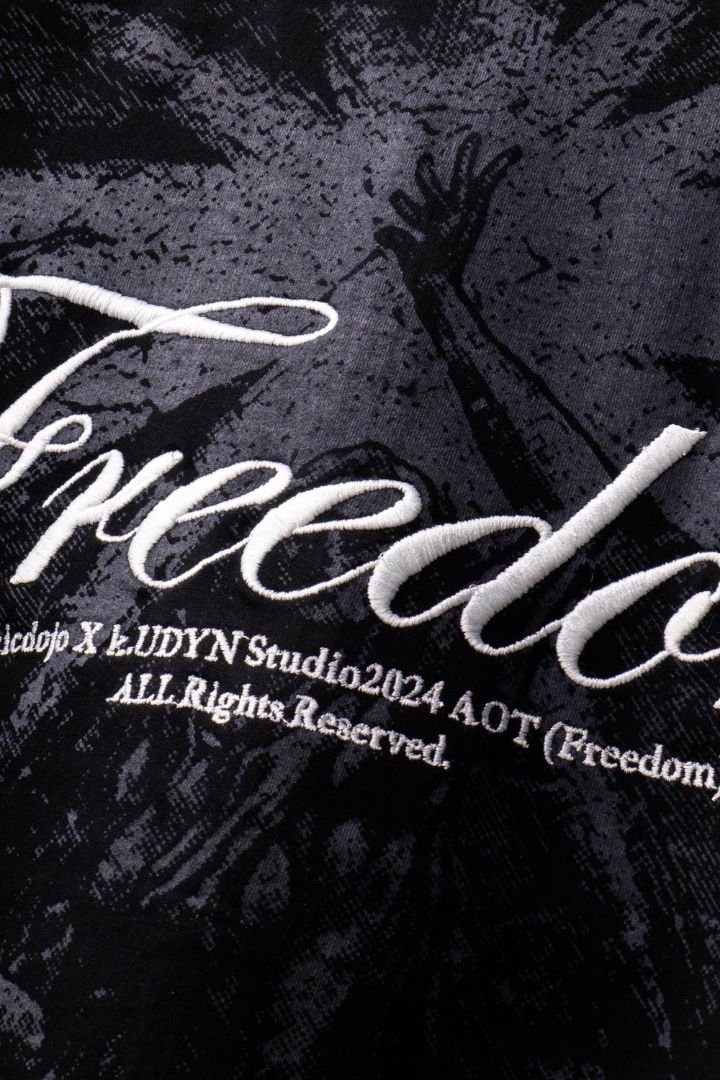 Freedom - Inspired by Attack on Titans