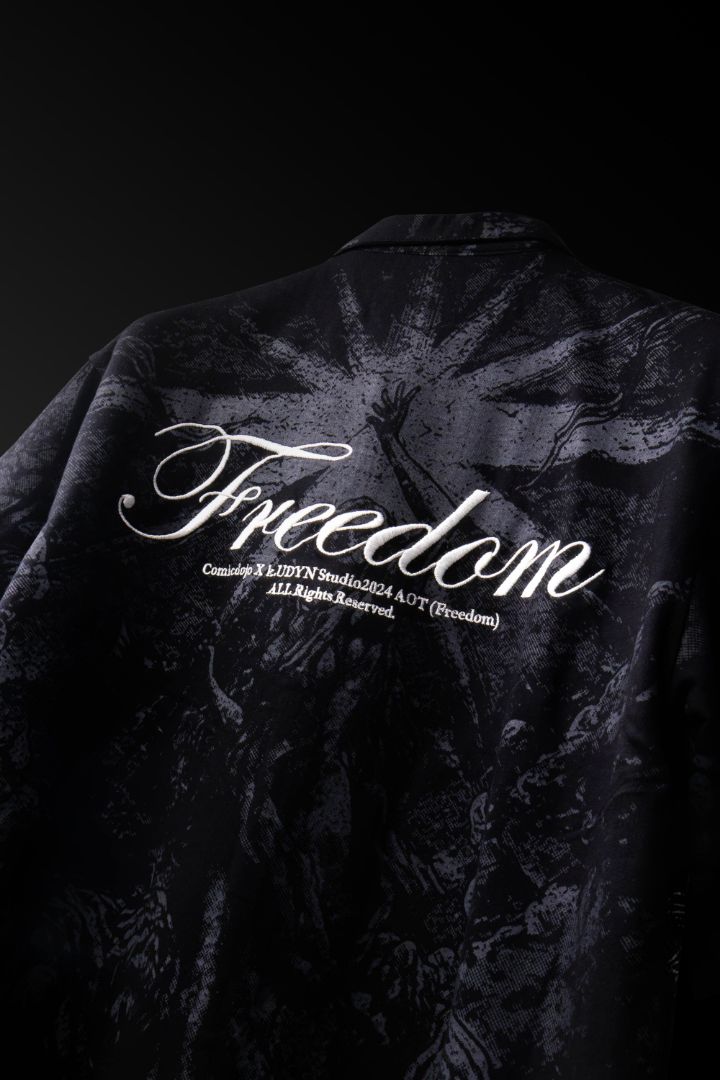 Freedom - Inspired by Attack on Titans